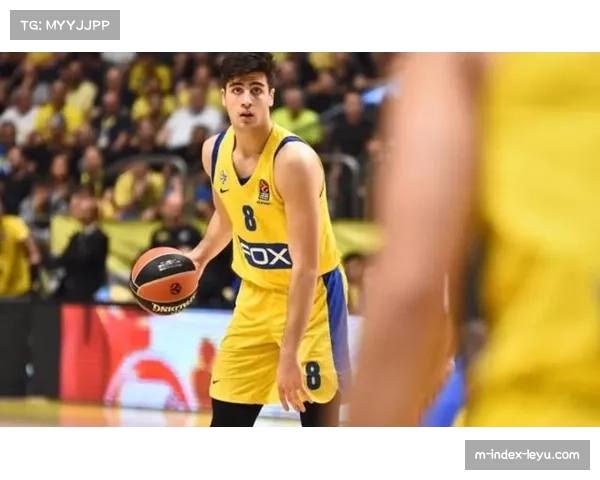 阿夫迪亚26分10板9助准三双 奇才前锋展现全面性